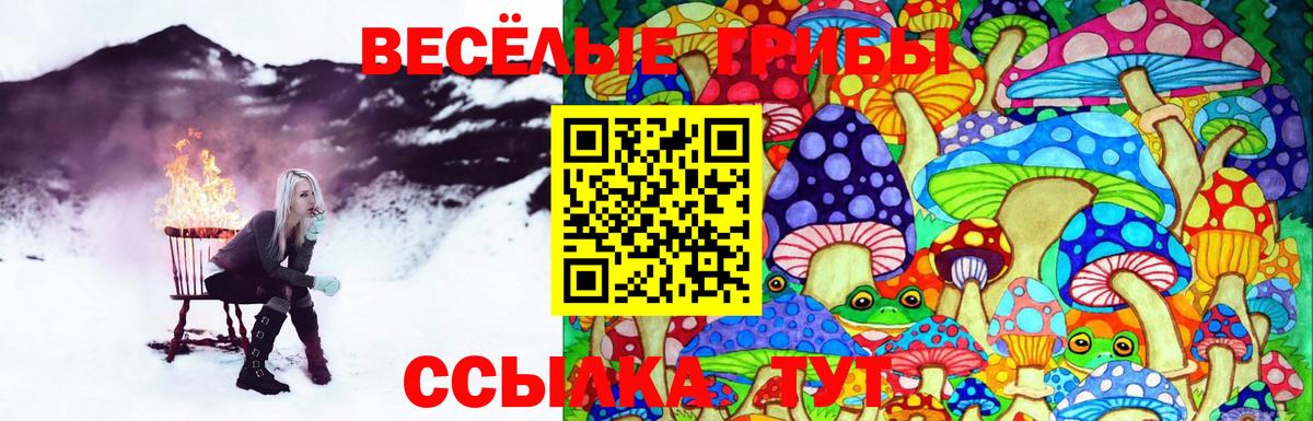 Галлюциногенные грибы мицелий Строитель