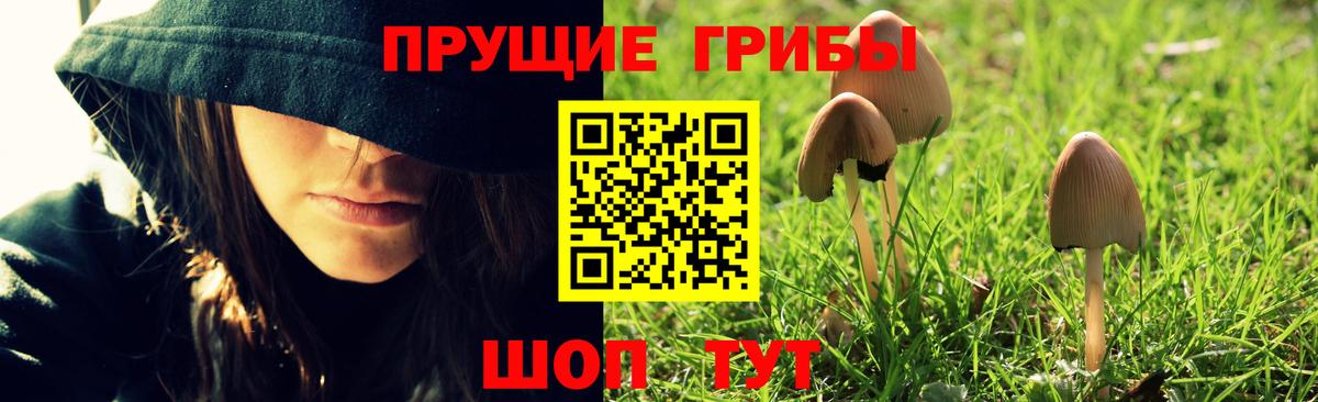 Строитель  Галлюциногенные грибы прущие грибы  Псилоцибиновые грибы ЛСД  Вход с VPN 