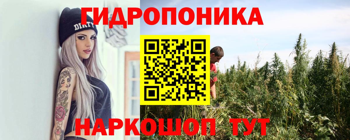 Шишки марихуана гибрид  Вход с VPN  Строитель  Канабис Bruce Banner  Марихуана AK-47  Конопля VHQ 